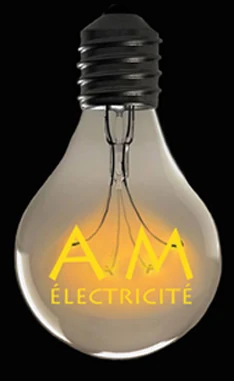MS Électricité
